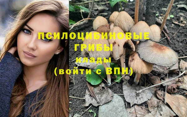 бутик Няндома
