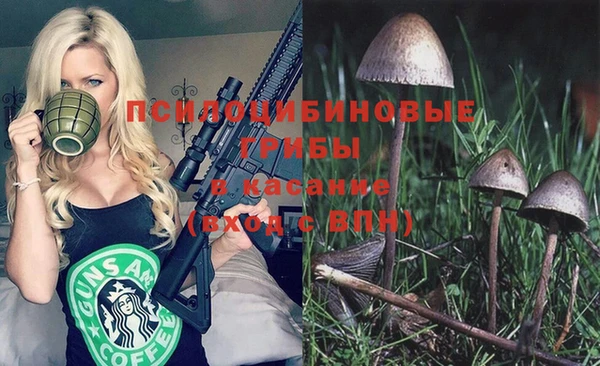 альфа пвп Нягань